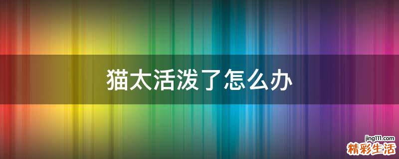 猫太活泼了怎么办