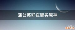 蒲公英籽在哪买原神