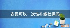 农民可以一次性补缴社保吗
