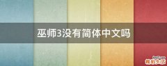 巫师3没有简体中文吗