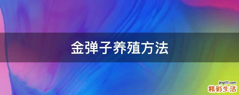 金弹子养殖方法