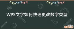 WPS文字如何快速更改数字类型