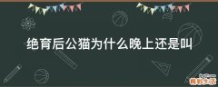 绝育后公猫为什么晚上还是叫