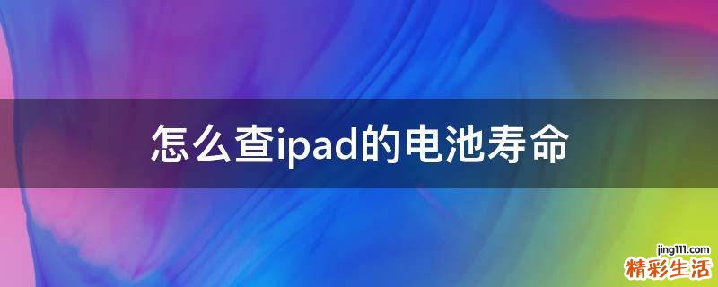 怎么查ipad的电池寿命