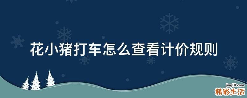 花小猪打车怎么查看计价规则