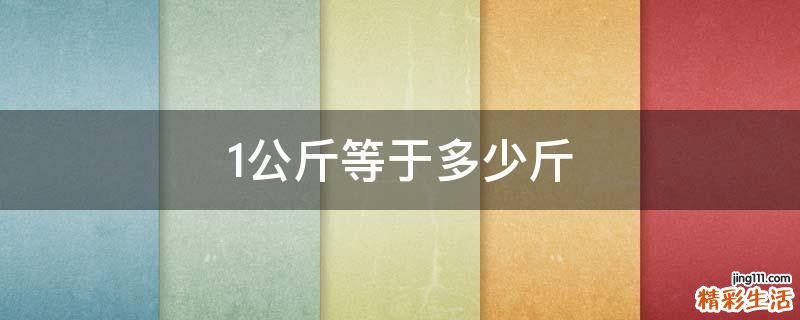 1公斤等于多少斤