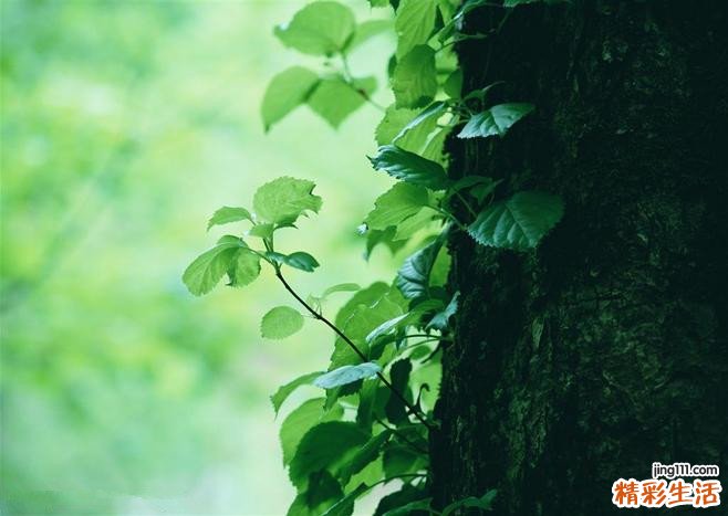 【哪些好习惯让肌肤白皙】养好习惯 让肌肤重现白皙年轻