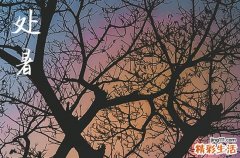 2023年处暑当天可以结婚吗