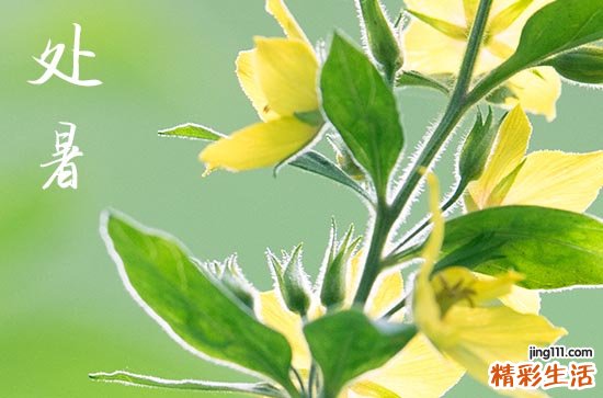 2023处暑温度大概多少度