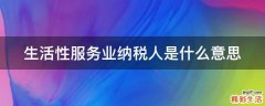 生活性服务业纳税人是什么意思