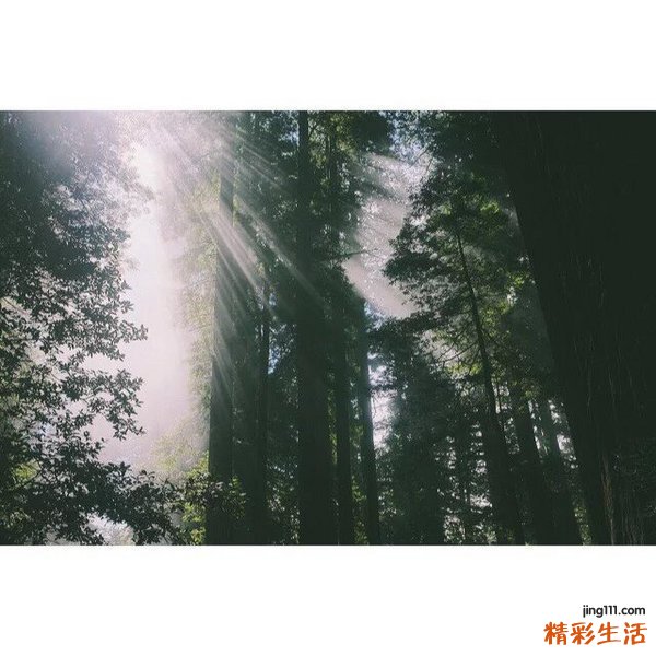 【你会美白吗】美白的正确方法