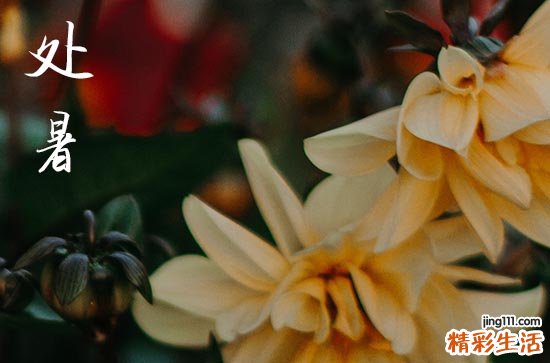 2023处暑后天气会凉快一些吗