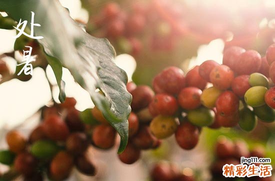 2023年处暑当天交运的人注意哪些