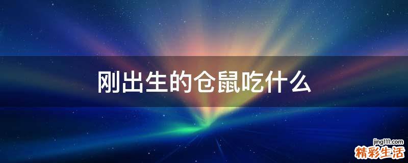 刚出生的仓鼠吃什么