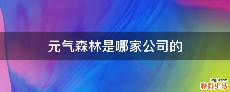 元气森林是哪家公司的