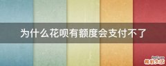 为什么花呗有额度会支付不了