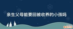 亲生父母能要回被收养的小孩吗