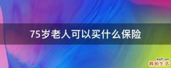 75岁老人可以买什么保险
