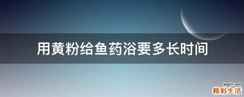 用黄粉给鱼药浴要多长时间