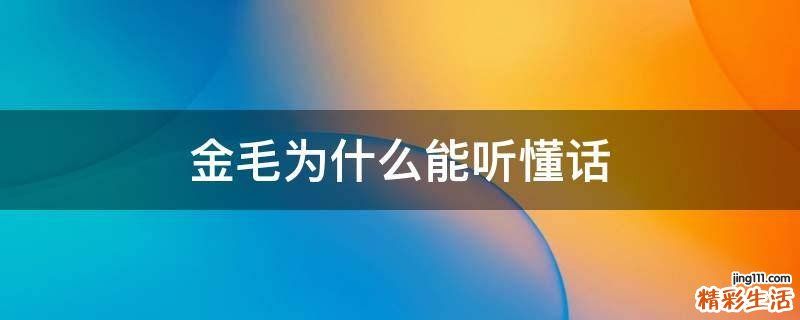 金毛为什么能听懂话