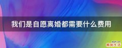 我们是自愿离婚都需要什么费用