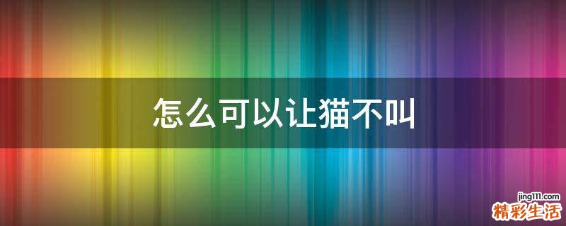 怎么可以让猫不叫