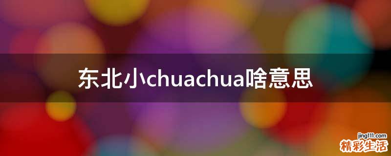 东北小chuachua啥意思