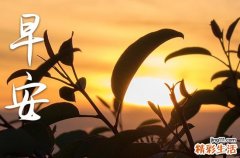 祝福大家早安的最美文案