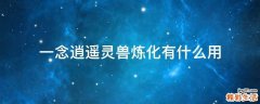 一念逍遥灵兽炼化有什么用
