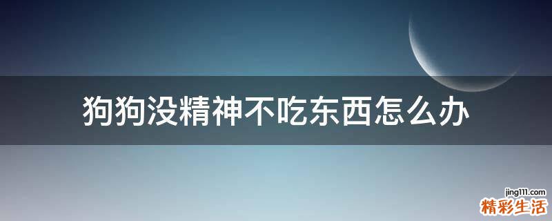 狗狗没精神不吃东西怎么办