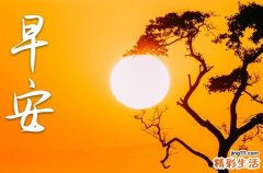 清晨祝福大家早安的问候语
