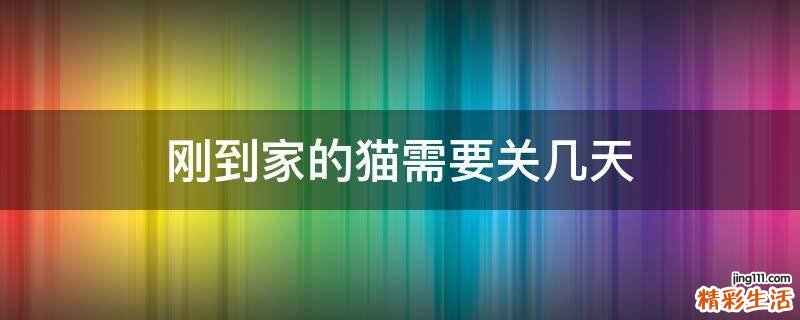 刚到家的猫需要关几天