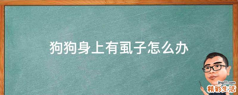 狗狗身上有虱子怎么办