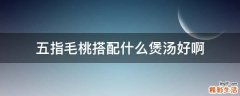 五指毛桃搭配什么煲汤好啊