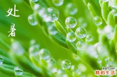 处暑不出伏,一年无春秋是什么意思