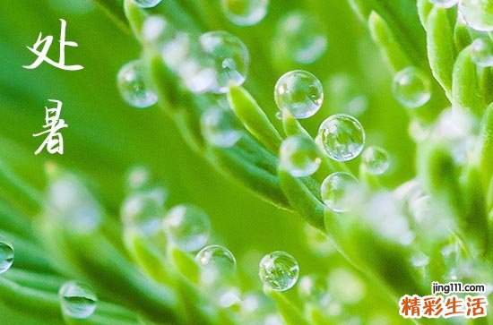 处暑不出伏,一年无春秋是什么意思