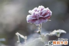 【冬季怎么有效去痘】冬季去痘要注意什么