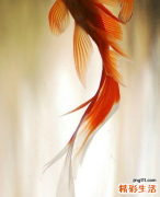 2 芒萁