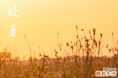 2023年处暑什么时候开始