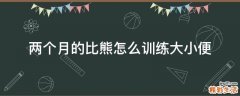 两个月的比熊怎么训练大小便