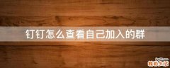 钉钉怎么查看自己加入的群