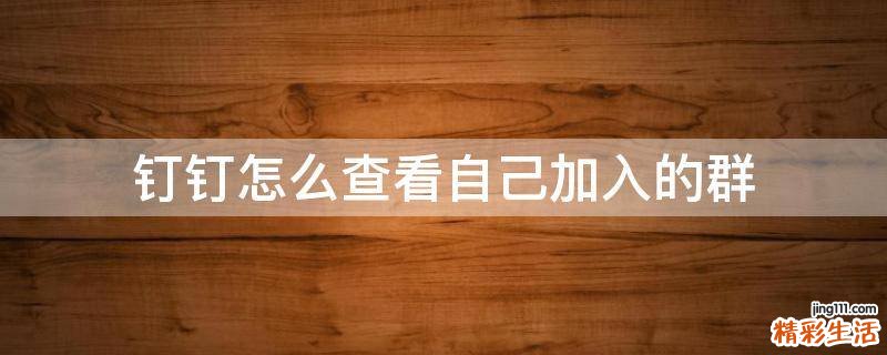 钉钉怎么查看自己加入的群