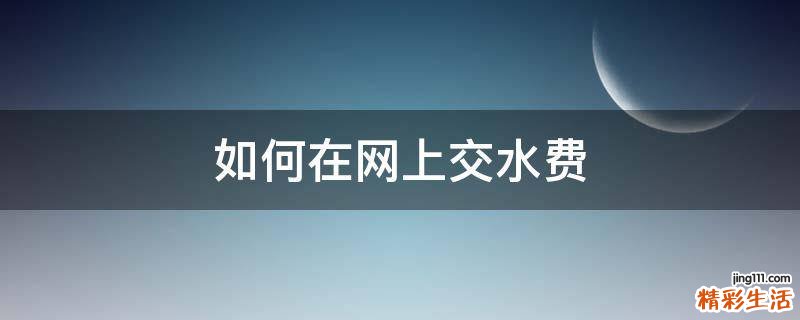 如何在网上交水费