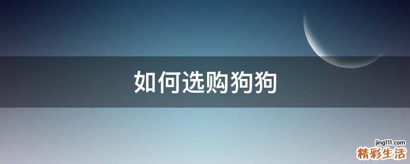 如何选购狗狗