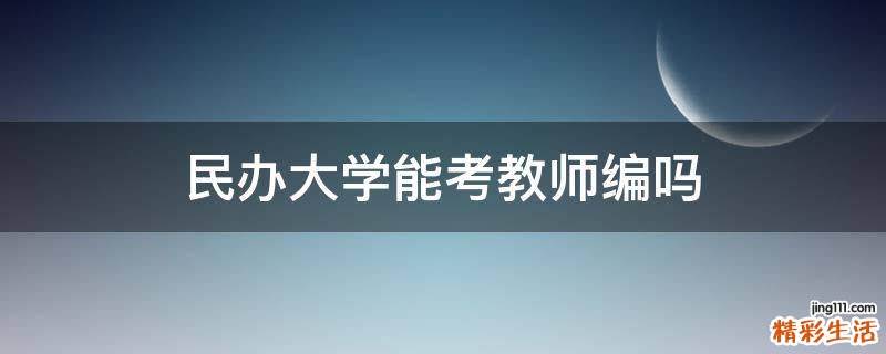 民办大学能考教师编吗