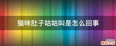 猫咪肚子咕咕叫是怎么回事