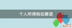 个人所得税在哪退