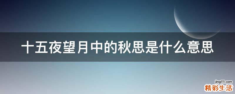十五夜望月中的秋思是什么意思