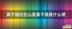 真不错住在山里真不错是什么梗