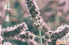 描写处暑节气的优美句子